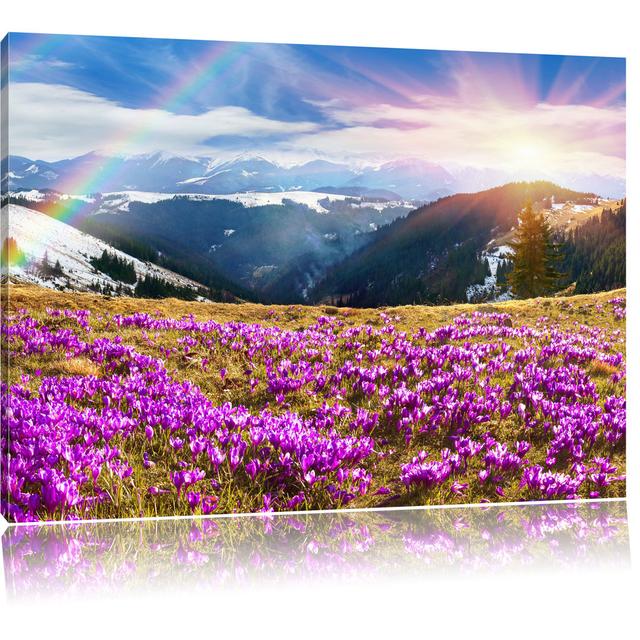 Leinwandbild Schneebedeckte Berglandschaft mit Regenbogen und blühenden Krokussen East Urban Home Größe: 40 cm H x 60 cm B on Productcaster.