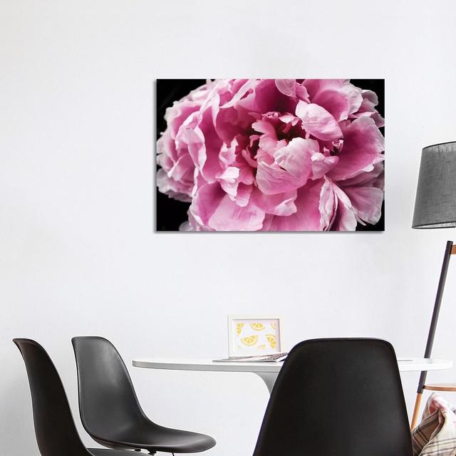 Pink Peony Passion IV by Irena Orlov - Wrapped Canvas Photograph Wayfair Samples Size: 66.04cm H x 101.6cm W x 1.91cm D on Productcaster.