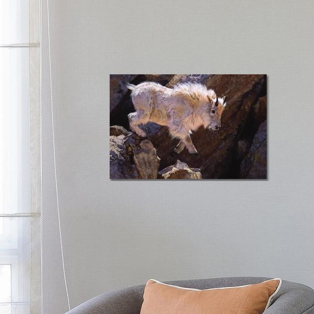 Rockhopper by Julie T. Chapman - Wrapped Canvas Photograph Alpen Home Size: 45.72cm H x 66.04cm W x 3.81cm D on Productcaster.