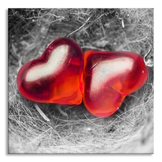 Two Hearts In A Small Nest - No Frame Print on Glass Brayden Studio Size: 80cm H x 80cm W x 0.4cm D on Productcaster.