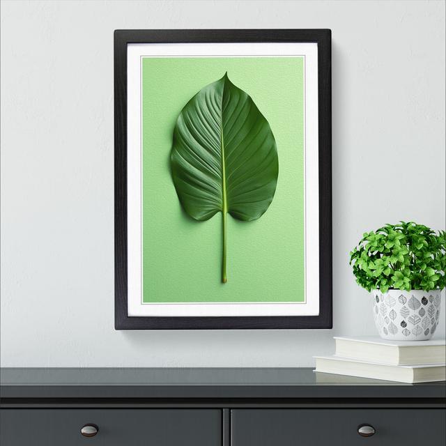 Tropical Leaf Minimalism - Single Picture Frame Print on Wood 17 Stories Format: Black Framed, Size: 34cm H x 25cm W on Productcaster.