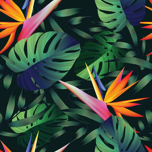 Tropical Flowers, Jungle Leaves, Bird of Paradise Flower. by Zeffir - Wrapped Canvas Graphic Art Bay Isle Home Size: 122cm H x 122cm W on Productcaster.