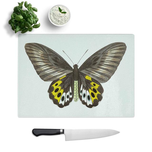 Glass Green Birdwing Butterfly by George Shaw Chopping Board East Urban Home Size: 28.5 cm W x 20 cm L on Productcaster.