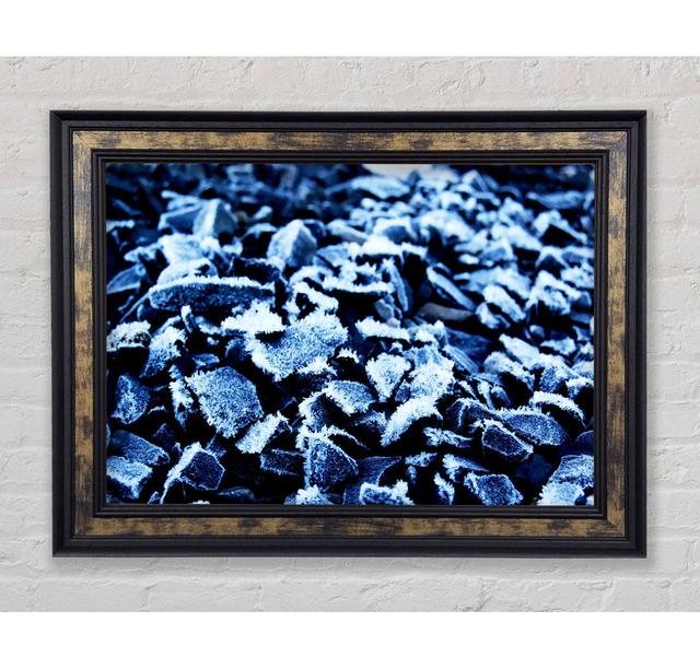 Nothing But Pebbles Framed Print Bright Star Size: 59.7cm H x 84.1cm W on Productcaster.