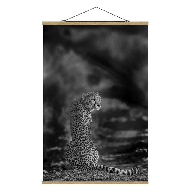 Fotodruck Cheetah in the Wild Ebern Designs Größe: 52,5 cm H x 35 cm B x 0,3 cm T on Productcaster.