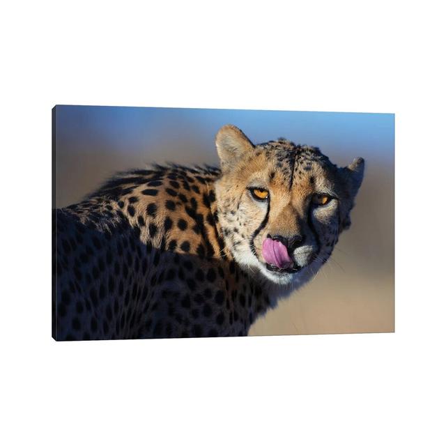 Cheetah Morning Light by Mogens Trolle - Wrapped Canvas Print Latitude Run Size: 30.48cm H x 45.72cm W x 1.91cm D on Productcaster.