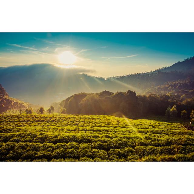 Mountains Under Beautiful Sunrise by Focusphotoart - No Frame Art Prints on Canvas Alpen Home Size: 81cm H x 122cm W on Productcaster.