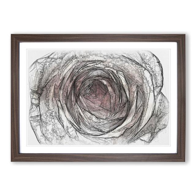 Pink Rose Flower Vol.3 - Picture Frame Drawing East Urban Home Frame Option: Walnut Framed, Size: 27cm H x 36cm W x 2cm D on Productcaster.