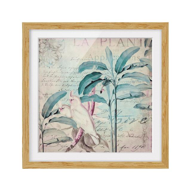 Colonial Style Collage - Cockatoos and Palm Trees - Picture Frame Graphic Art Bay Isle Home Frame Option: Brown, Size: 30cm H x 30cm W x 2cm D on Productcaster.