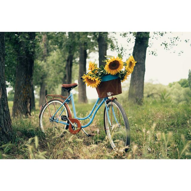 Vintage-Fahrrad im Freien von Bojanstory - Kunstdrucke auf Leinwand ohne Rahmen Brambly Cottage Größe: 81cm H x 122cm B on Productcaster.