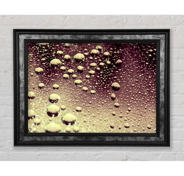 Wet Surface Framed Print Bright Star Size: 29.7cm H x 42cm W x 8cm D on Productcaster.