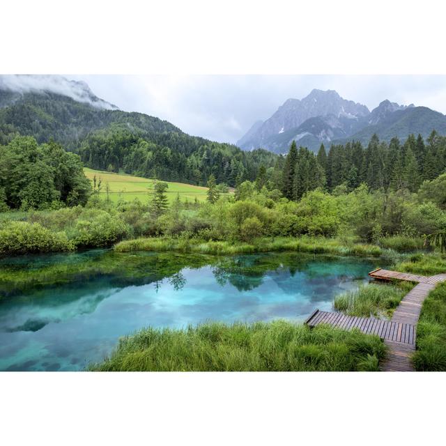 Florala Zelenci Pond - Wrapped Canvas Print Alpen Home Size: 20cm H x 30cm W 3.8cm D on Productcaster.