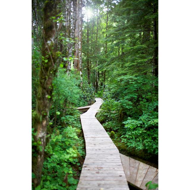 Walkway Through Forest by Ryan McVay - Print Alpen Home Size: 91cm H x 61cm W on Productcaster.