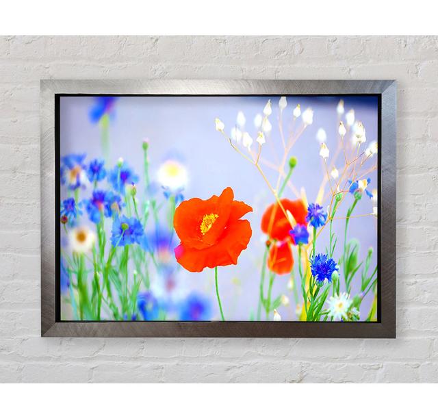 Lovely Poppy Garden - Print Brayden Studio Size: 100.1cm H x 141.4cm W x 3.4cm D, Format: Silver Framed Paper on Productcaster.