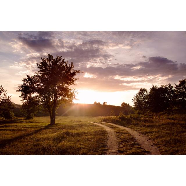 Field And Dirt Road To Sunset by Oleh_Slobodeniuk - No Frame Art Prints on Canvas 17 Stories Size: 61cm H x 91cm W on Productcaster.