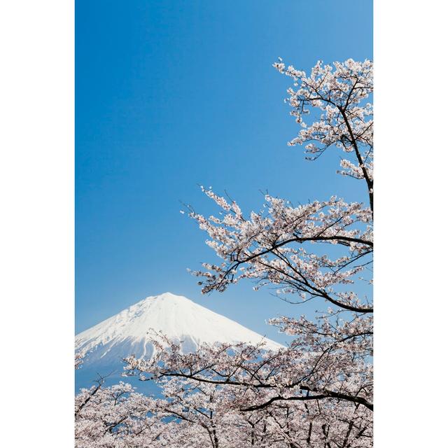 Cherry Blossoms by Ooyoo - No Frame Art Prints on Canvas Alpen Home Size: 76cm H x 51cm W on Productcaster.