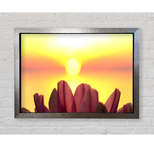 Life Source - Single Picture Frame Art Prints Bright Star Size: 42cm H x 59.7cm W on Productcaster.