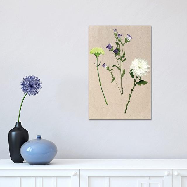 Pretty Pressed Flowers I by Melissa Wang - Wrapped Canvas Painting Marlow Home Co. Size: 45.72cm H x 30.48cm W x 1.91cm D on Productcaster.