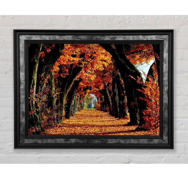 Beautiful Path - Print Bright Star Size: 29.7cm H x 42cm W on Productcaster.