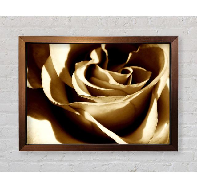 Sepia Rose - Single Picture Frame Art Prints Bright Star Size: 42cm H x 59.7cm W x 3.4cm D on Productcaster.