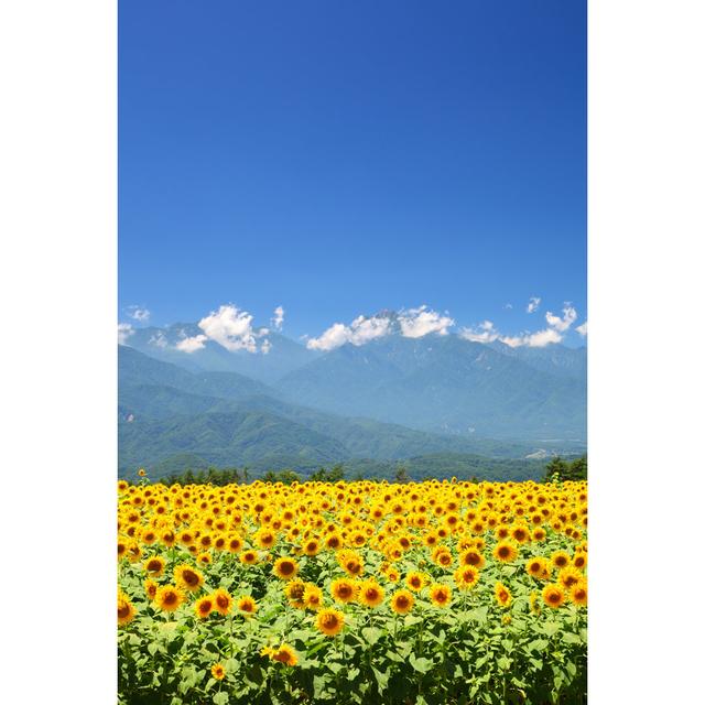 Sunflower and Mountain by Noririn - Wrapped Canvas Photograph Brambly Cottage Size: 76cm H x 51cm W on Productcaster.