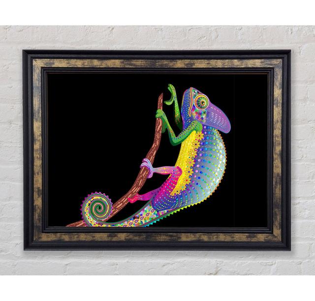 Chameleon Rainbow - Single Picture Frame Art Prints Bright Star Size: 21cm H x 42cm W x 8cm D on Productcaster.