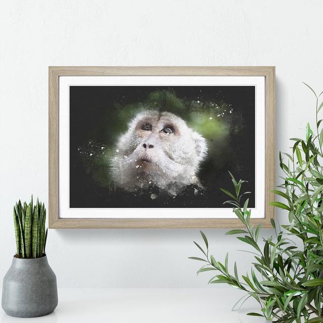 Macaque Monkey - Picture Frame Graphic Art East Urban Home Size: 27cm H x 36cm W x 2cm D, Frame Option: Oak Framed on Productcaster.