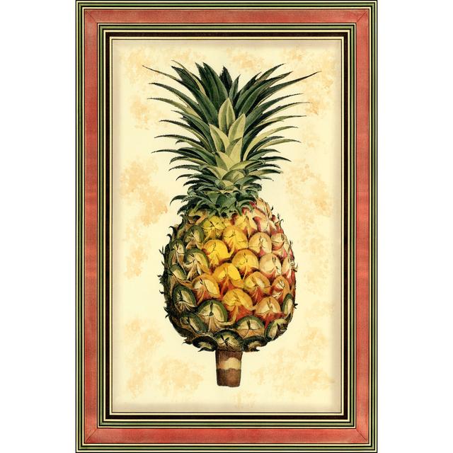 Printed Pineapple Splendor I by Vision Studio - Wrapped Canvas Print 17 Stories Size: 76cm H x 51cm W x 3.8cm D on Productcaster.