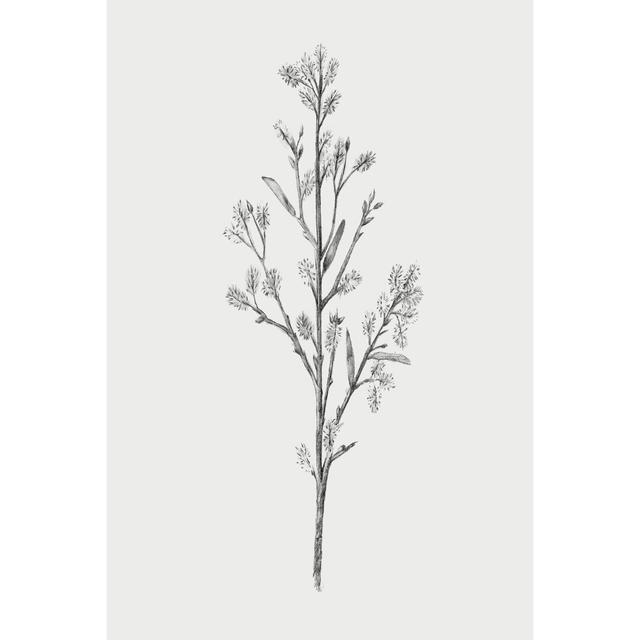 Wild Stem II by Annie Warren - Wrapped Canvas Graphic Art Print Marlow Home Co. Size: 122cm H x 81cm W on Productcaster.