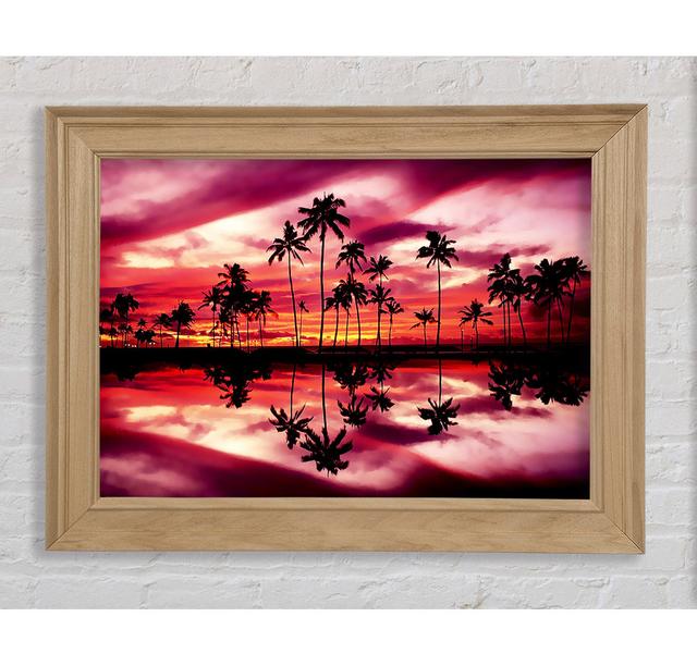 Pink Palm Tree Reflections Framed Print Bright Star Size: 84.1cm H x 142.2cm W on Productcaster.