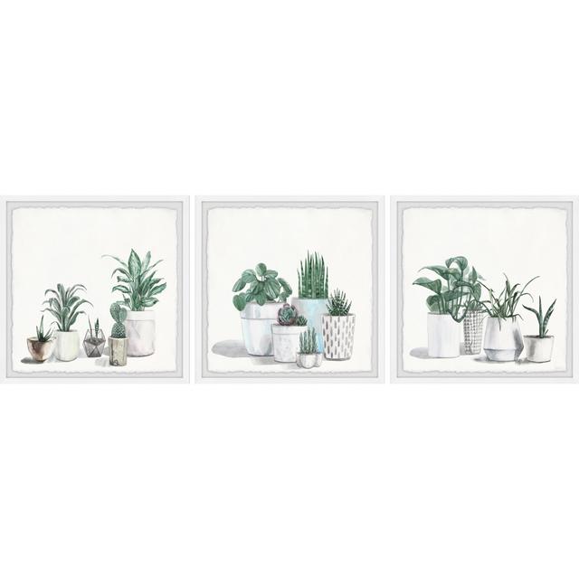 Urban Houseplants Triptych Latitude Vive Size: 81" H x 81" W x 3.81" D on Productcaster.