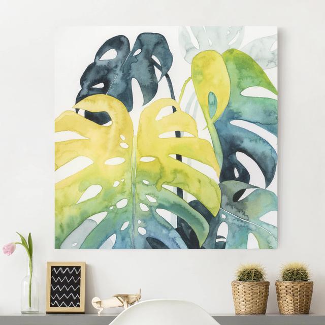 Leinwandbild - Tropisches Blattwerk - Monstera Sansibar Home Größe: 70 cm H x 70 cm B, Format: 260g/m² Canvas on Productcaster.