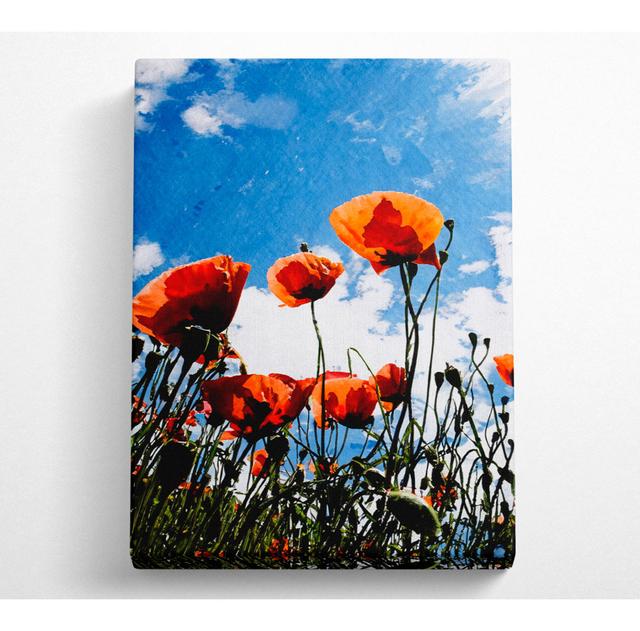 Wrapped Canvas Art Prints Latitude Run Size: 35.6cm H x 50.8cm W on Productcaster.