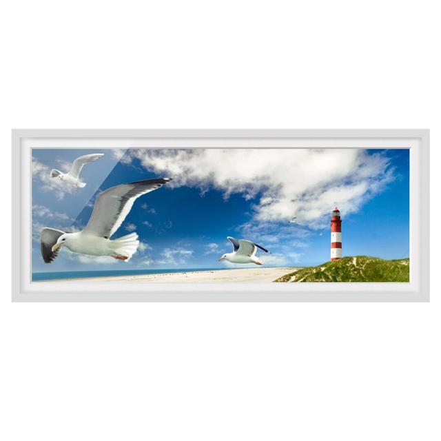 Dune Breeze - Picture Frame Photograph Longshore Tides Size: 30cm H x 75cm W x 2cm D, Frame Option: White Framed on Productcaster.