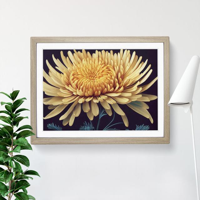 XH1022-1886X Charming Chrysanthemum Flower - Single Picture Frame Print Marlow Home Co. Size: 34cm H x 46cm W x 2cm D, Frame Colour: Oak on Productcaster.