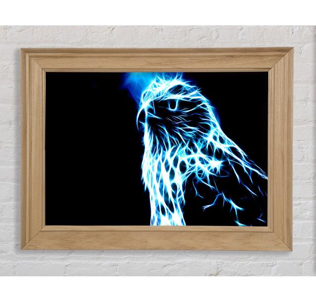 Eagle Blaze Framed Print Bright Star Size: 84.1cm H x 142.2cm W on Productcaster.