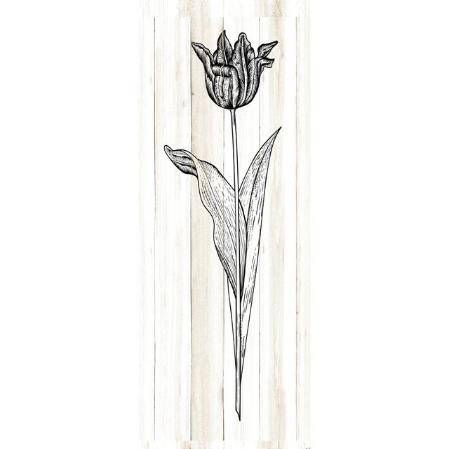 Vintage Tulip II - Wrapped Canvas Painting Print Rosalind Wheeler Size: 91cm H x 61cm W x 3.8cm D on Productcaster.