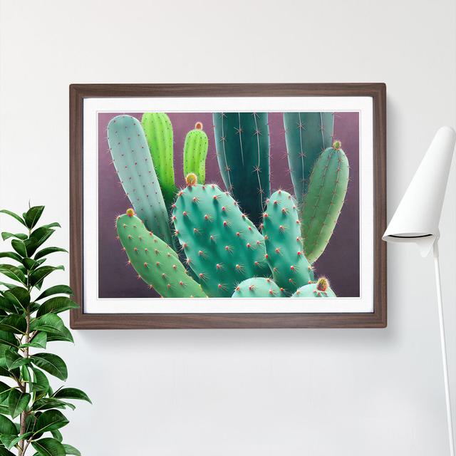 Wonderful Cactus - Picture Frame Graphic Art Natur Pur Size: 25cm H x 34cm W x 2cm D, Frame Colour: Walnut Framed on Productcaster.