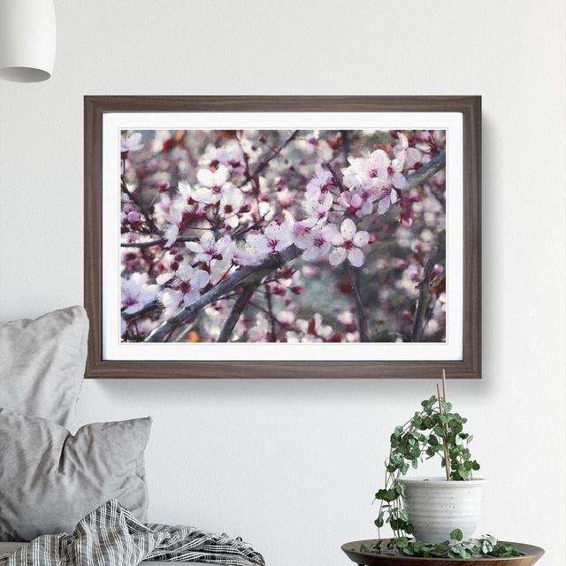 Pink Cherry Blossom Flowers Vol.8 - Picture Frame Graphic Art East Urban Home Frame Option: Walnut Framed, Size: 27cm H x 36cm W x 2cm D on Productcaster.