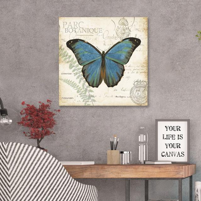 'Butterfly Histoire Naturelle' by Tre Sorelle Studios Graphic Art Print on Wrapped Canvas East Urban Home Size: 121.92cm H x 121.92cm W on Productcaster.