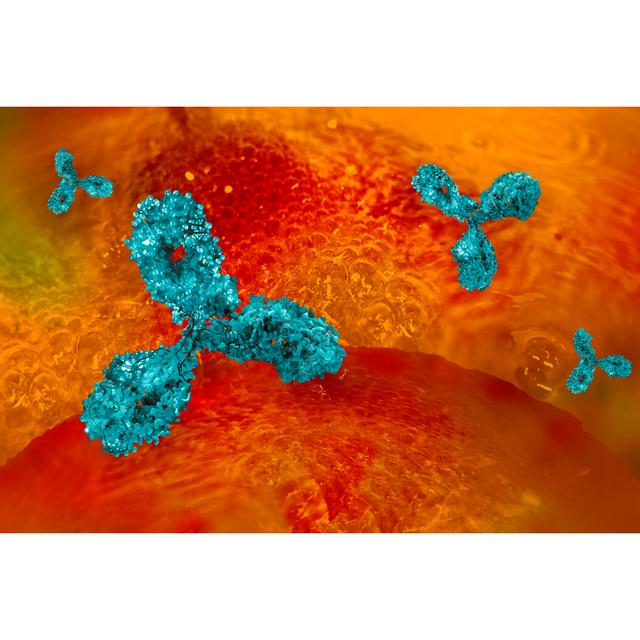 Monoclonal Antibody Background Metro Lane Size: 61cm H x 91cm W x 3.8cm D on Productcaster.