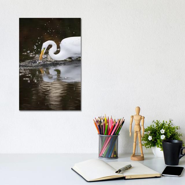 Great Egret Foraging, Los Osos, California by Jaymi Heimbuch - Wrapped Canvas Print Latitude Run Size: 30.48cm H x 20.32cm W x 1.91cm D on Productcaster.