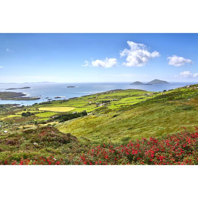 Ring Of Kerry, Ireland Alpen Home Size: 81cm H x 122cm W on Productcaster.