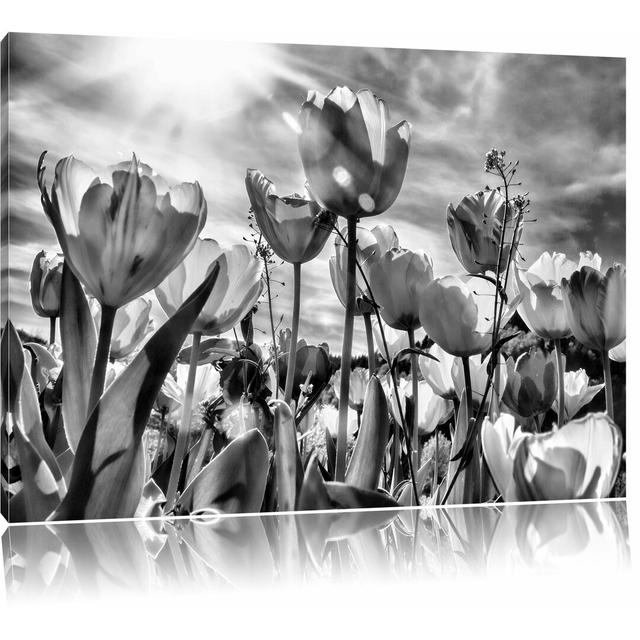 Leinwandbild Blumenwiese Froschperspektive in Monochrom East Urban Home Größe: 60 cm H x 80 cm B on Productcaster.