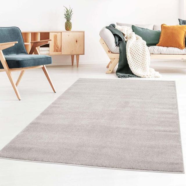 Aamil Solid Colour Hand Woven Grey Area Rug 17 Stories Rug Size: Rectangle 160 x 230cm on Productcaster.