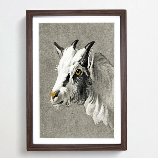 Head of a Goat by Jean Bernard - Picture Frame Painting Print East Urban Home Frame Option: Walnut Framed, Size: 36cm H x 27cm W x 2cm D on Productcaster.