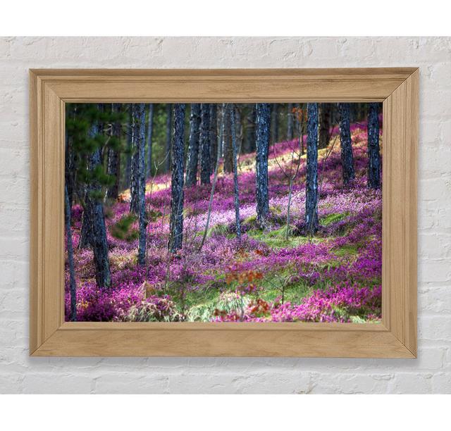 Downhill Woodlands - Print Bright Star Size: 29.7cm H x 42cm W x 8cm D on Productcaster.