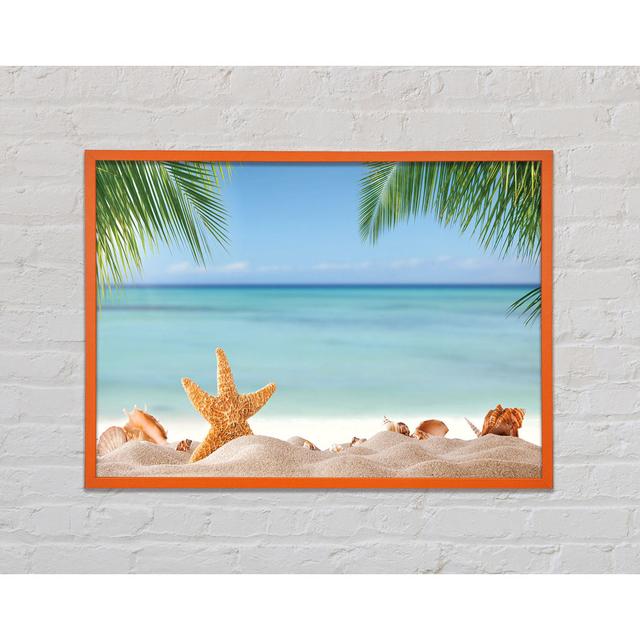 Gerahmtes Leinwandbild Starfish On The Beach Scene House of Hampton Größe: 42cm H x 59,7cm B x 2cm T, Format: Orange gerahmtes Papier on Productcaster.