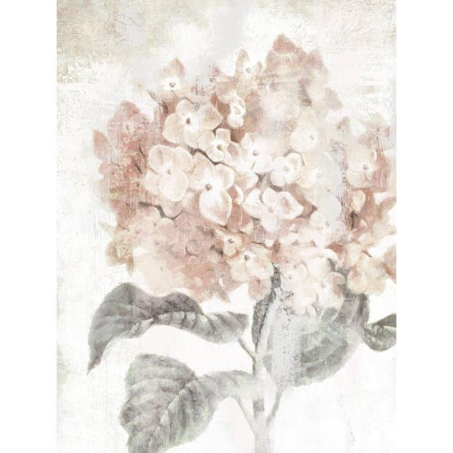 Hydrangea Blush - Wrapped Canvas Painting Print Fleur De Lis Living Size: 122cm H x 81cm W x 3.8cm D on Productcaster.