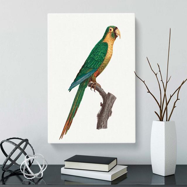 Musk Lorikeet - Wrapped Canvas Painting East Urban Home Size: 60cm H x 40cm W, Colour: Green/Yellow/Brown on Productcaster.